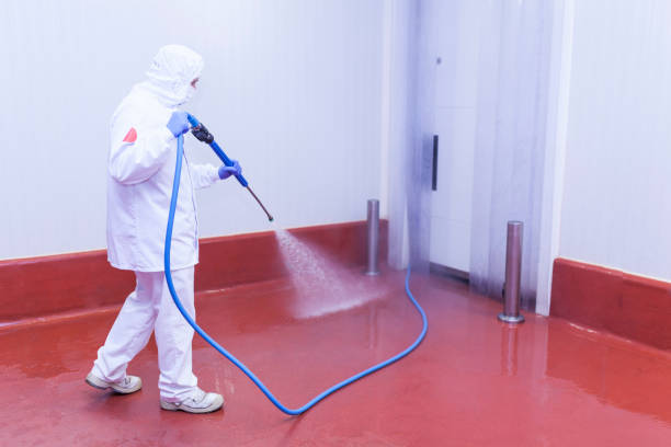 Boat and Dock Cleaning in Sacred Heart University, CT